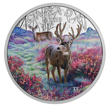 2015 1 oz. Fine Silver Coloured Coin – Misty Morning Mule Deer