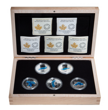 2015 1 oz. Fine Silver Coins - The Great Lakes 5-Coin Set
