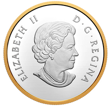 2020 25$ 1 oz. Pure Silver Gold Plated Piedfort – Timeless Icons Polar Bear