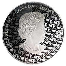 2022  Fine Silver 30 Dollars coin-The Red Knight