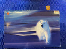 1999 Canada Nickel Prooflike Uncirculated Coin Set