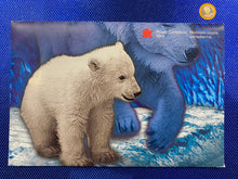 2000 Canada Nickel Prooflike Uncirculated Coin Set