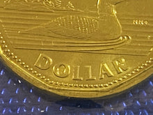 2013 Canada Nickel Prooflike Uncirculated Coin Set