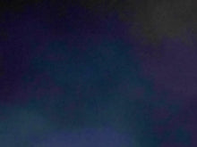 Lucky Loon 5-pack - 2012 Canada  Nickel Prooflike Uncirculated Coin Set