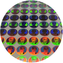 2017 Canada Specimen  Loonie Snow Goose